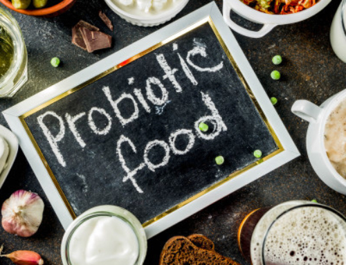 ¿Qué son los prebióticos y los probióticos?