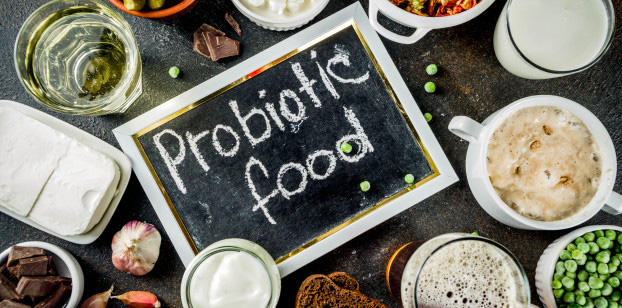 prebioticos-y-probioticos